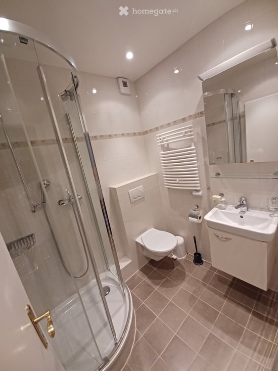 Spacieux appartement de 6 pièces, 132 m2 PPE, traversant, avec vue panoramique à Thônex 12