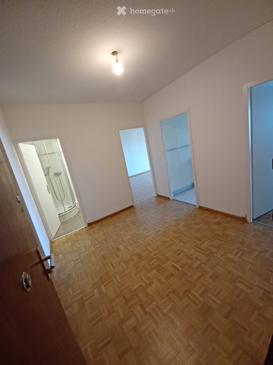 Spacieux appartement de 6 pièces, 132 m2 PPE, traversant, avec vue panoramique à Thônex 8