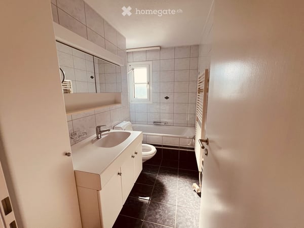 Helle 3½-Zimmer-Wohnung mit privatem Wellness-Bereich in Oetwil an der Limmat 9