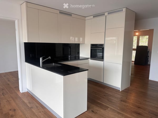 Schöne Attika-Wohnung am Rande Winterthurs 2