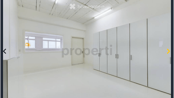 Moderne 2.5-Zimmer-Loft-Wohnung in Luzern Littau 2