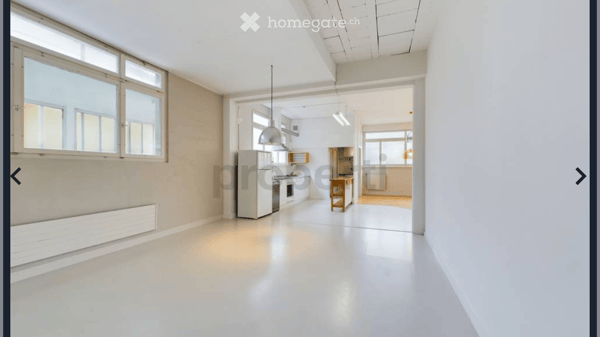 Moderne 2.5-Zimmer-Loft-Wohnung in Luzern Littau 5
