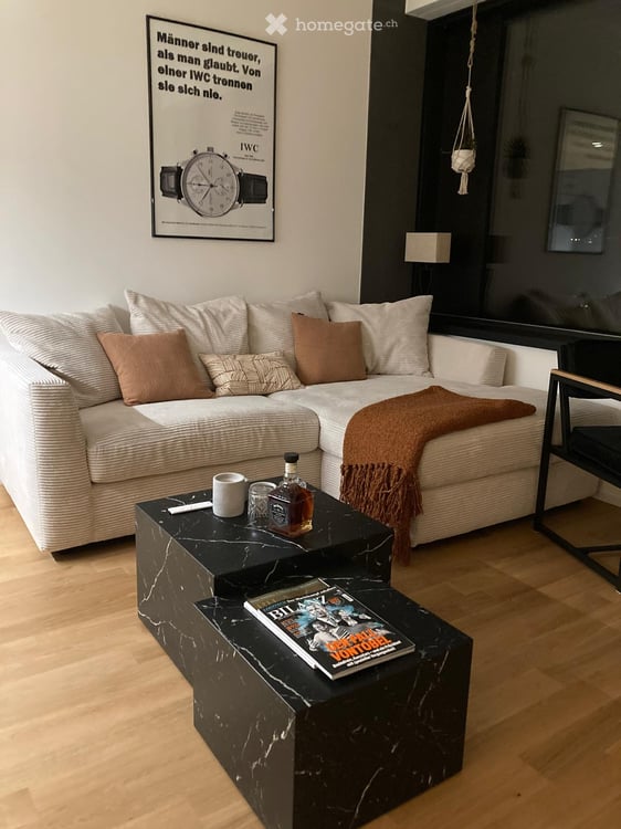 Möbliertes 1.5-Zimmer-Apartment im 19. Stock am Brown Boveri Platz, Baden 3