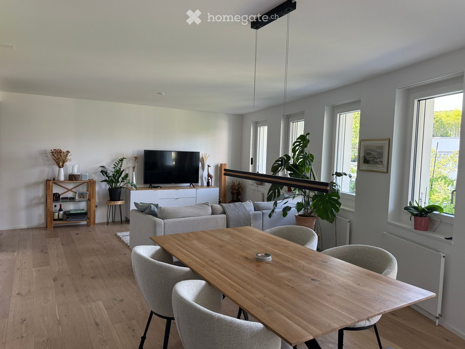 Bright living room with wooden flooring, large windows, a grey sofa, a wooden dining table with four chairs, a television on a white stand, a wooden shelf with decorative items, and several potted plants.