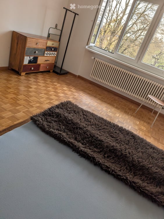 Befristet bis April 2027 (Verlängerung möglich) Charmante 4.5-Zimmer-Wohnung mit Balkon in Zollikon 6