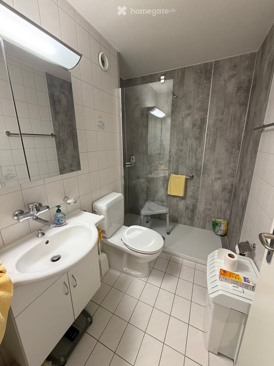 Gepflegte 3.5-Zimmer-Wohnung mit Balkon in Winterthur 5