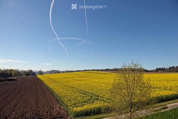 Immagine anteprima degli immobili