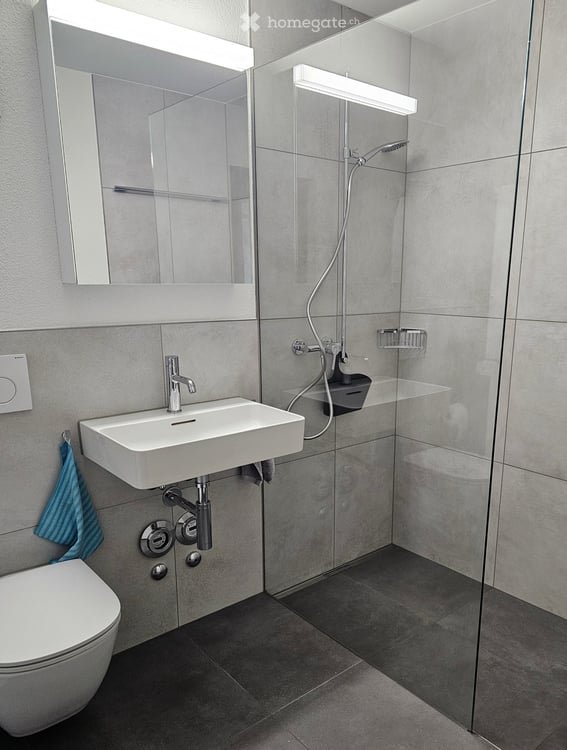 Gemütliche 1-Zimmer-Wohnung mit Balkon in St. Margrethen SG – sofort verfügbar! 6