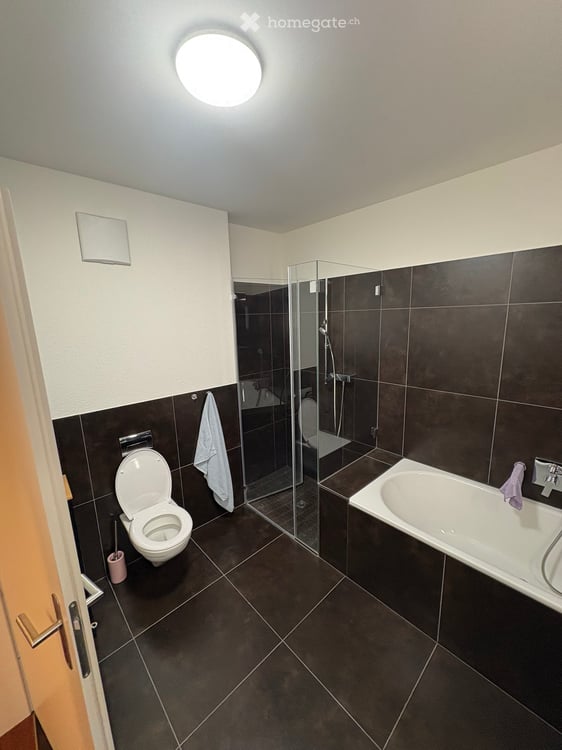 Helle 2.5-Zimmer-Wohnung mit Balkon und Garagenplatz in Zürich-Albisrieden 9