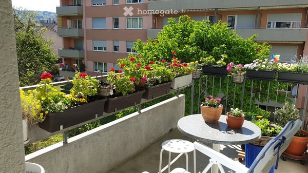 Aperçu de l'image de l'immobilier