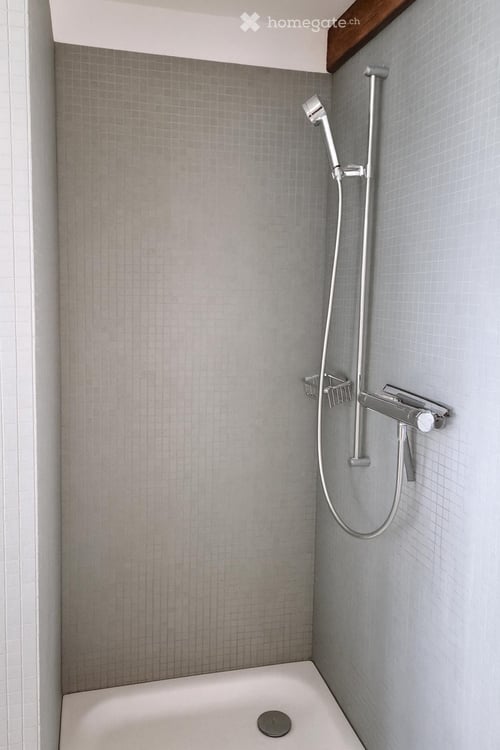 Charmante 4.5-Zimmer-Dachwohnung am Lindenplatz in Allschwil 8