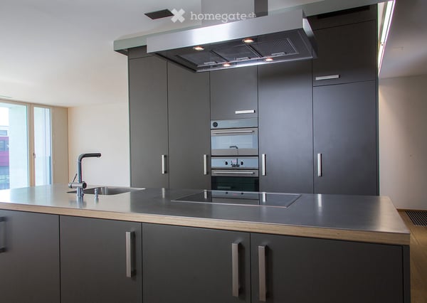 Moderne 2.5-Zimmer-Loft-Wohnung mit Balkon in Wolfhausen 3