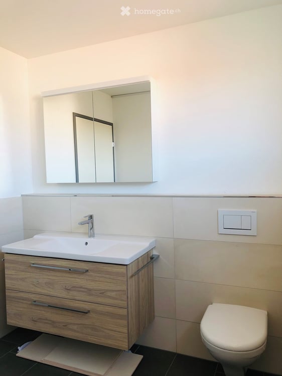 Grosszügige 3.5 Zimmer Wohnung in Niederwil 6