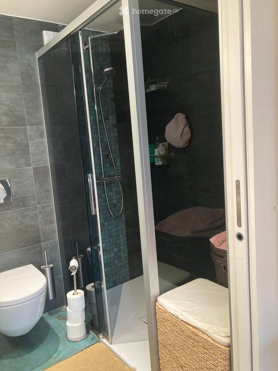 Spacieux appartement en attique de 5 pièces à Chancy – Lumineux et calme 5