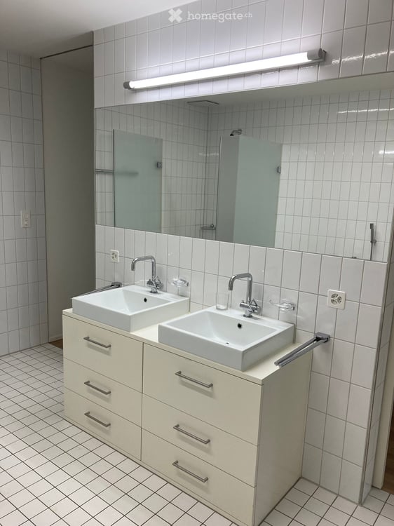 Grosse, luxuriöse Loft-Wohnung an begehrter Wohnlage 6