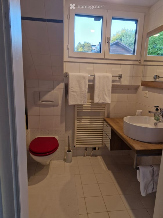 Möbliertes freistehendes Haus 4.5 Zimmer in ruhiger Lage in Herrliberg  befristet 5