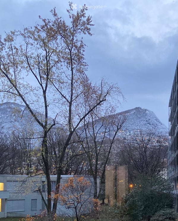 Appartamento a Lugano 6