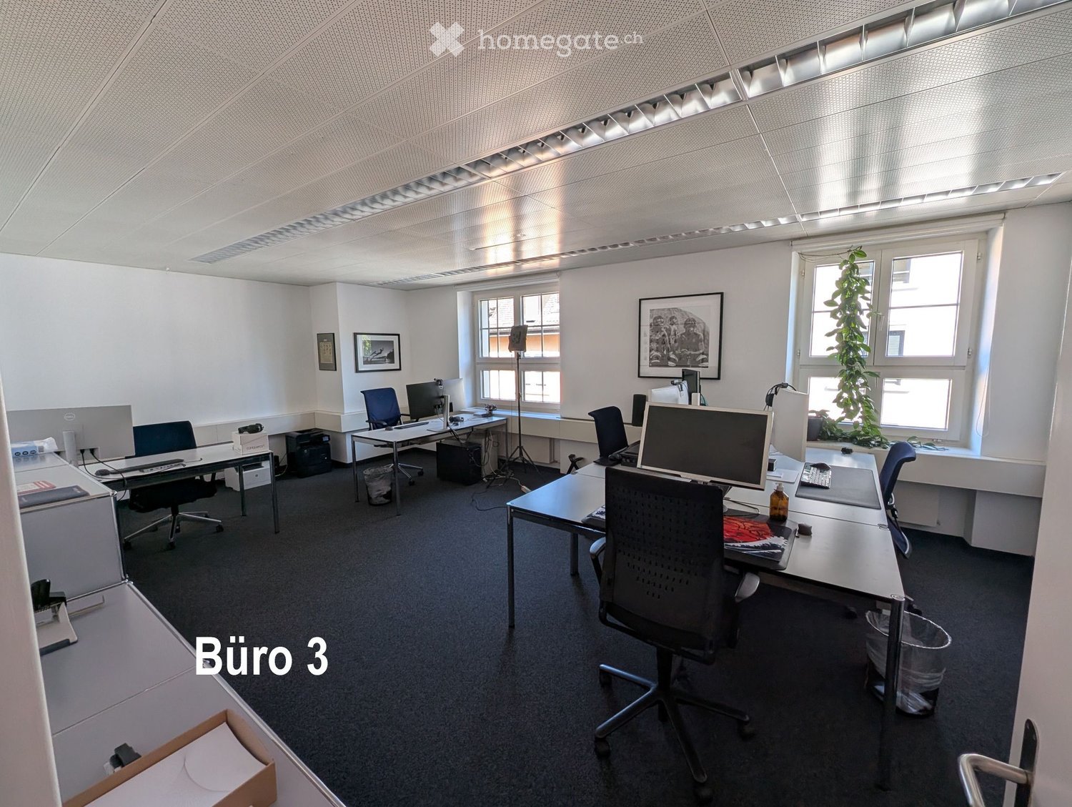 Office space with desks, chairs, computers, keyboards, mice, and a plant. The room has large windows and modern lighting.