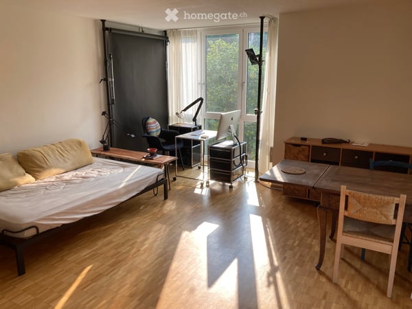Untermiete Terrassenwohnung in Zürich 4