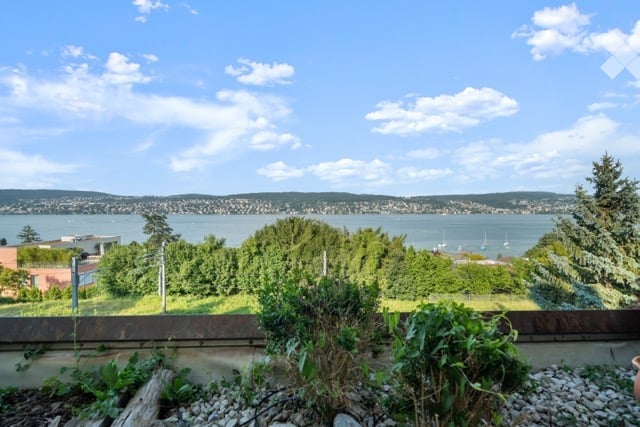 Balcony or terrace overlooking a scenic waterfront with trees and distant cityscape visible.