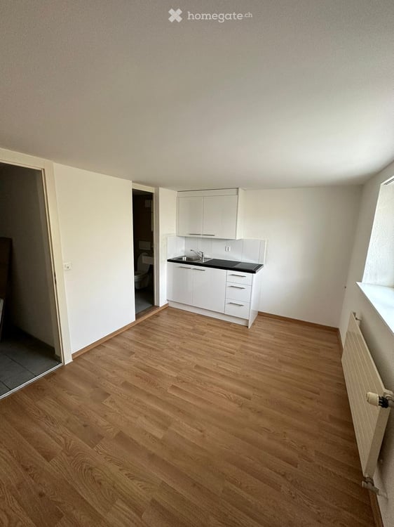 Sonnige und sehr ruhig gelegene 1.5 Zimmerwohnung 3