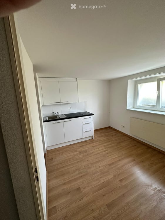 Sonnige und sehr ruhig gelegene 1.5 Zimmerwohnung 4
