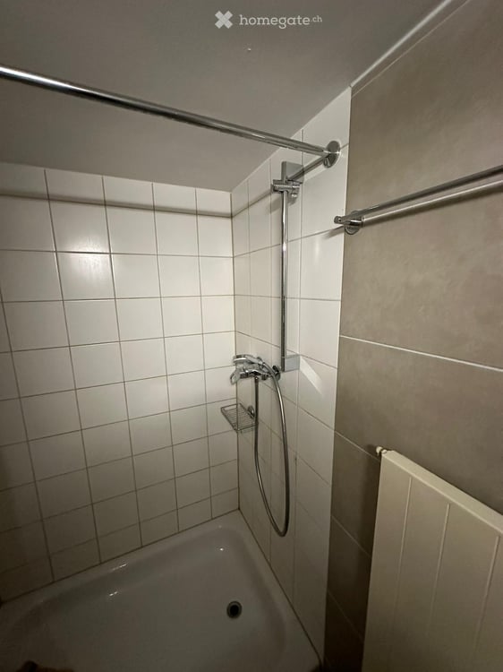 Sonnige und sehr ruhig gelegene 1.5 Zimmerwohnung 6