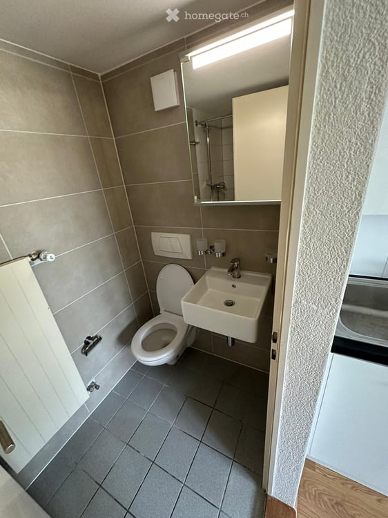 Sonnige und sehr ruhig gelegene 1.5 Zimmerwohnung 5