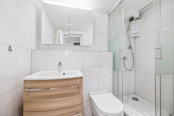 Attraktive 3.5-Zimmer-Dachwohnung mit Lift, Garage und Panoramablick über Basel und den Schwarzpark 7