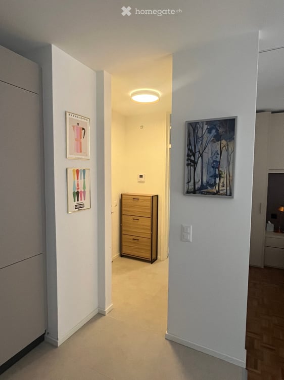 Fully renovated and furnished in 2026 with private access to Lake Lugano 7