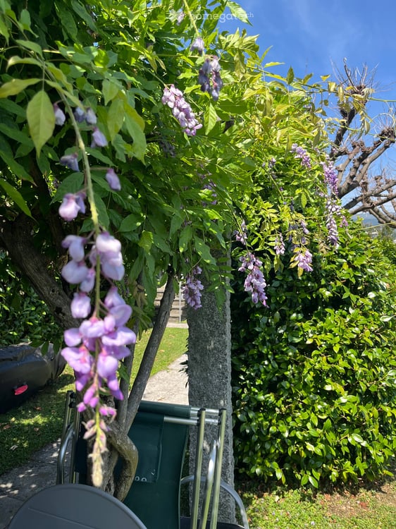 Fully renovated and furnished in 2026 with private access to Lake Lugano 14