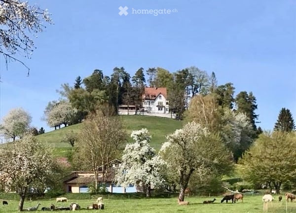 Neuvermietung Gasthaus Säntisblick in Eschlikon TG 2