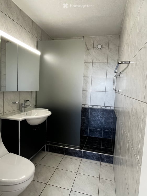3.5 Zi-Wohnung/Penthouse in Zollikerberg - hell, mit schöner Aussicht 8