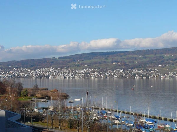 3.5 Zimmer Terassenwohnung mit Seeblick & Sauna 9