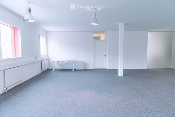 helles, offenes Büro zu vermieten 5