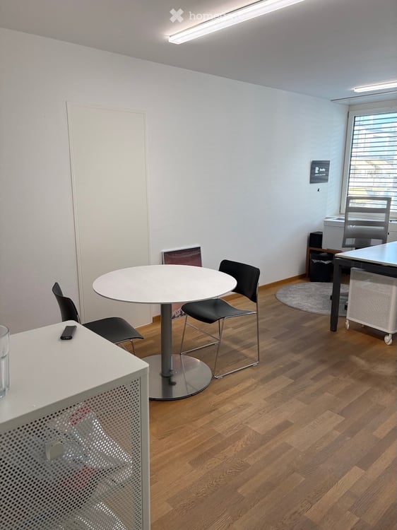 Bright Office Space for Rent in Zürich Seefeld – Holbeinstrasse 31 2