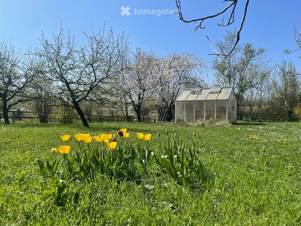 Einzigartiges Landhaus mit grosszügigem Naturgarten 2