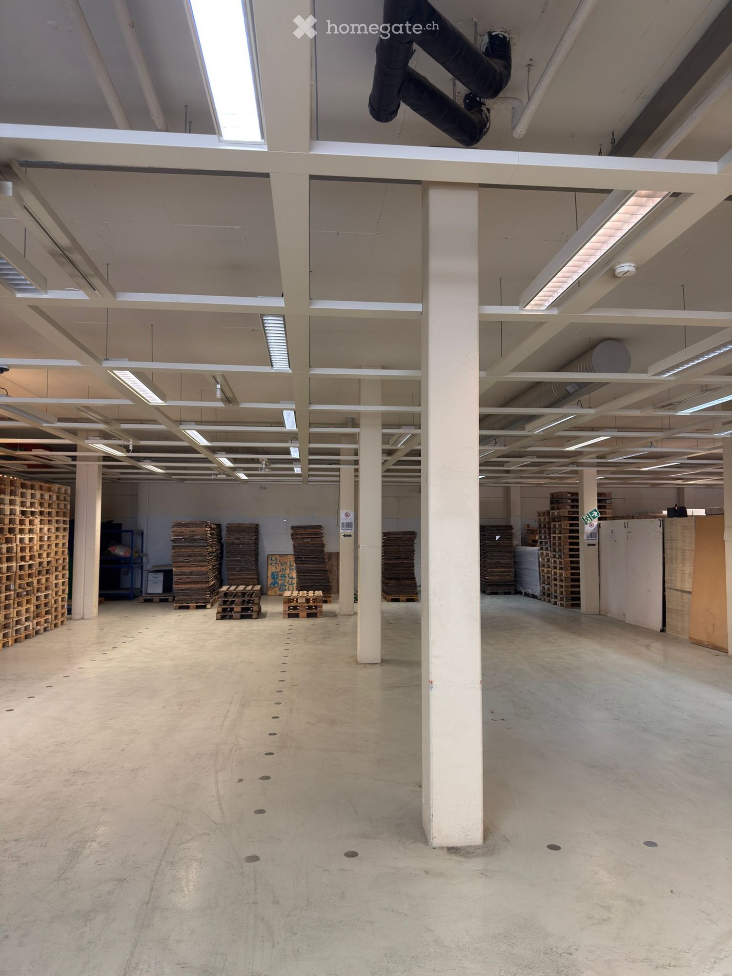 empty warehouse with high ceilings, rows of wooden pallets, central columns, industrial lighting, metal shelves, white walls