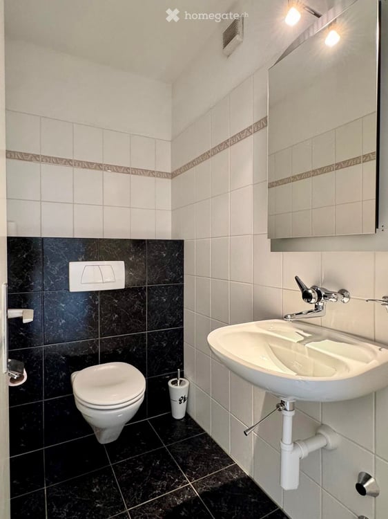 Helle 2 ½-Zimmer-Eigentumswohnung mit herrlicher Weitsicht und Gehdistanz zum See und Bahnhof Meilen 7