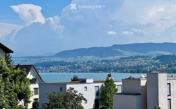 Helle 2 ½-Zimmer-Eigentumswohnung mit herrlicher Weitsicht und Gehdistanz zum See und Bahnhof Meilen 1