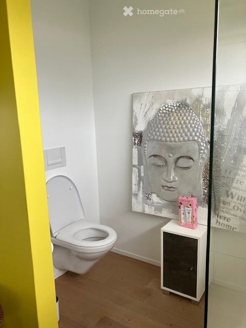4.5 Zimmer Attika-Penthouse Wohnung in Frauenfeld 7