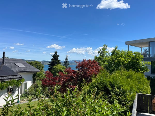 Charmantes Einfamilienhaus in Richterswil 2