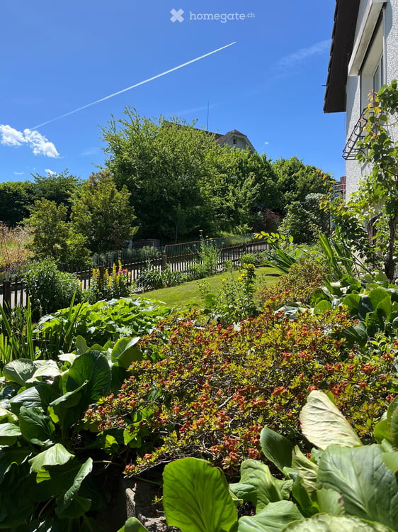 Charmantes Einfamilienhaus in Richterswil 3