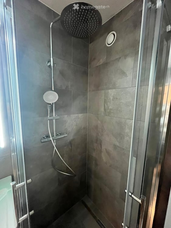 Neu Renovierte 2.5-Zimmer-Wohnung mit Balkon in Beromünster 7
