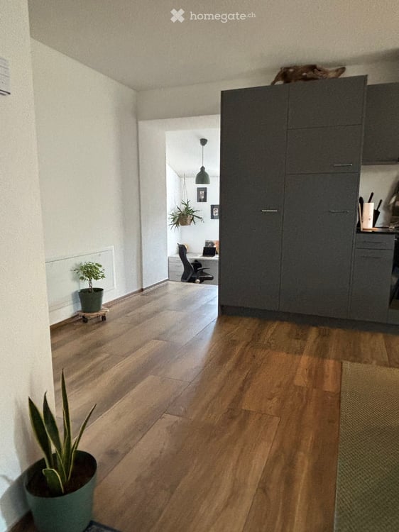 Newly Renovated 3.5-Room Apartment with Balcony in Eriswil 21