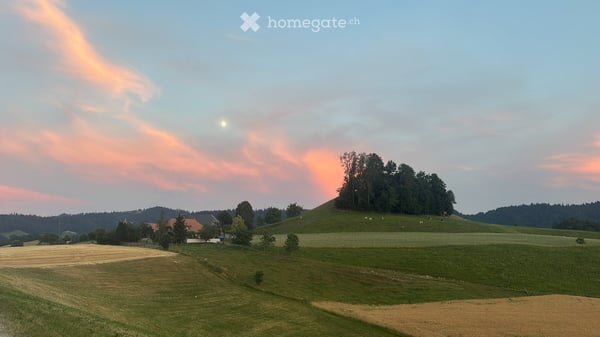 Newly Renovated 3.5-Room Apartment with Balcony in Eriswil 36