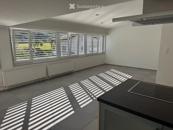 Appartamento 3 locali climatizzato - appena rinnovato – disponibile subito 4
