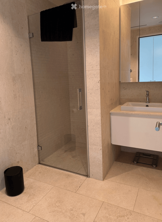 Beautifully furnished 4.5 room apartment 2