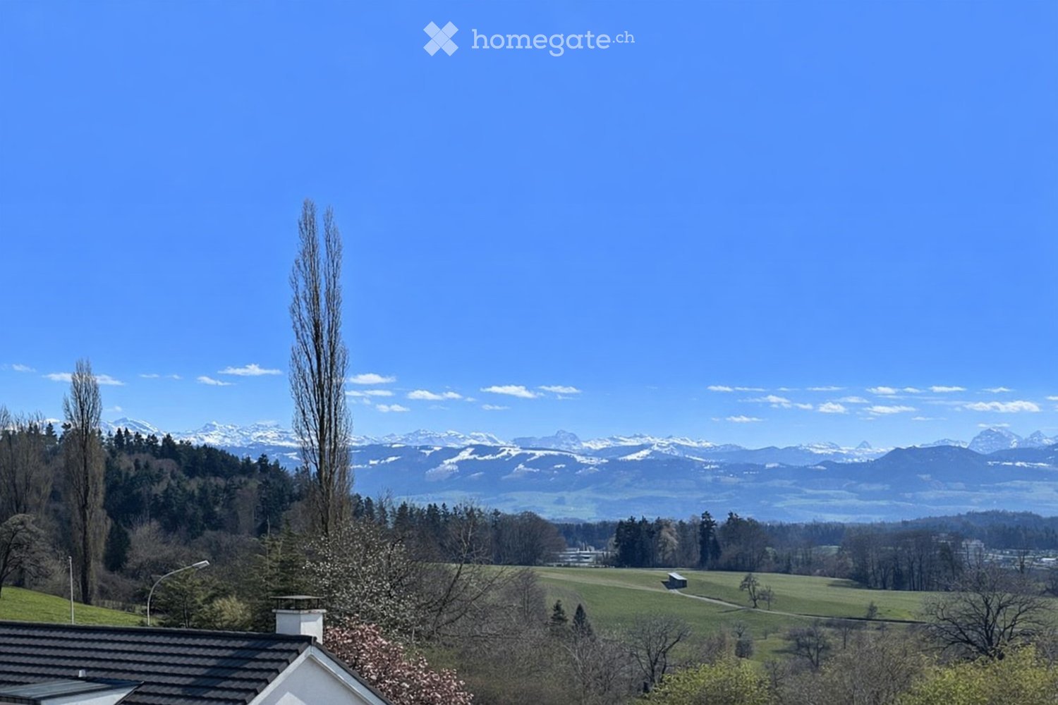 hillside view, green field, trees, mountains, clear sky