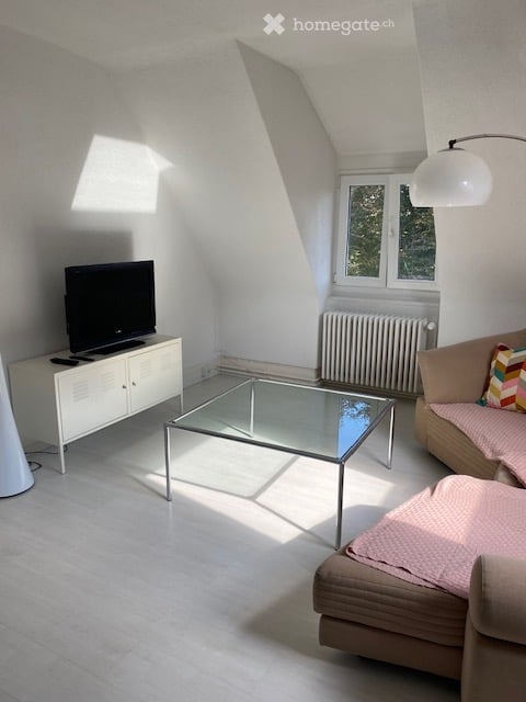 Möblierte 3-Zimmer-Wohnung in zentraler Lage Solothurn 14